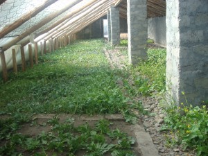 Munsel-ling Greenhouse